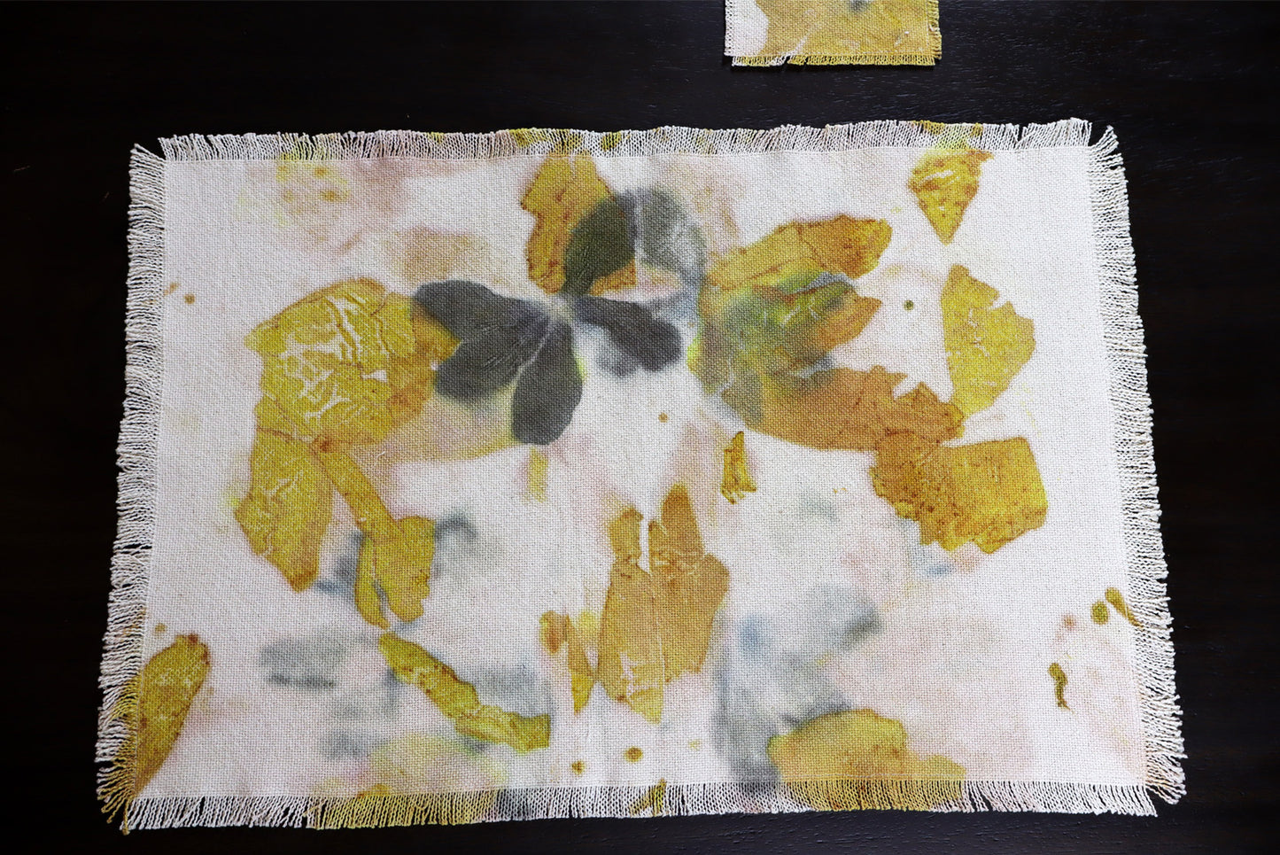 Beautiful Set of 4 Placemats, 4 Coasters, Ecoprint, Natural Cotton, Handmade dyed.