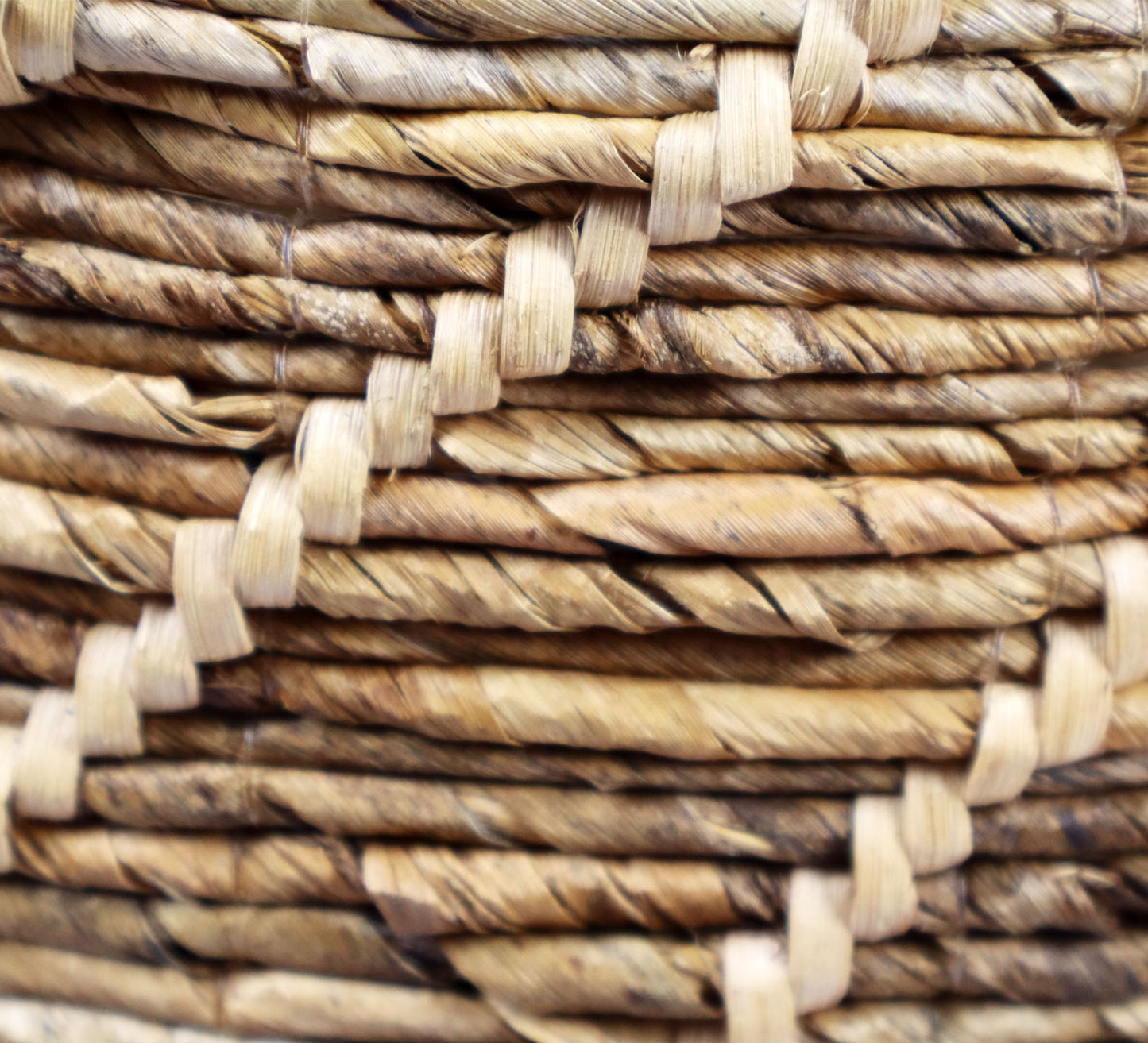 Set of 2 Ripley Banana Baskets